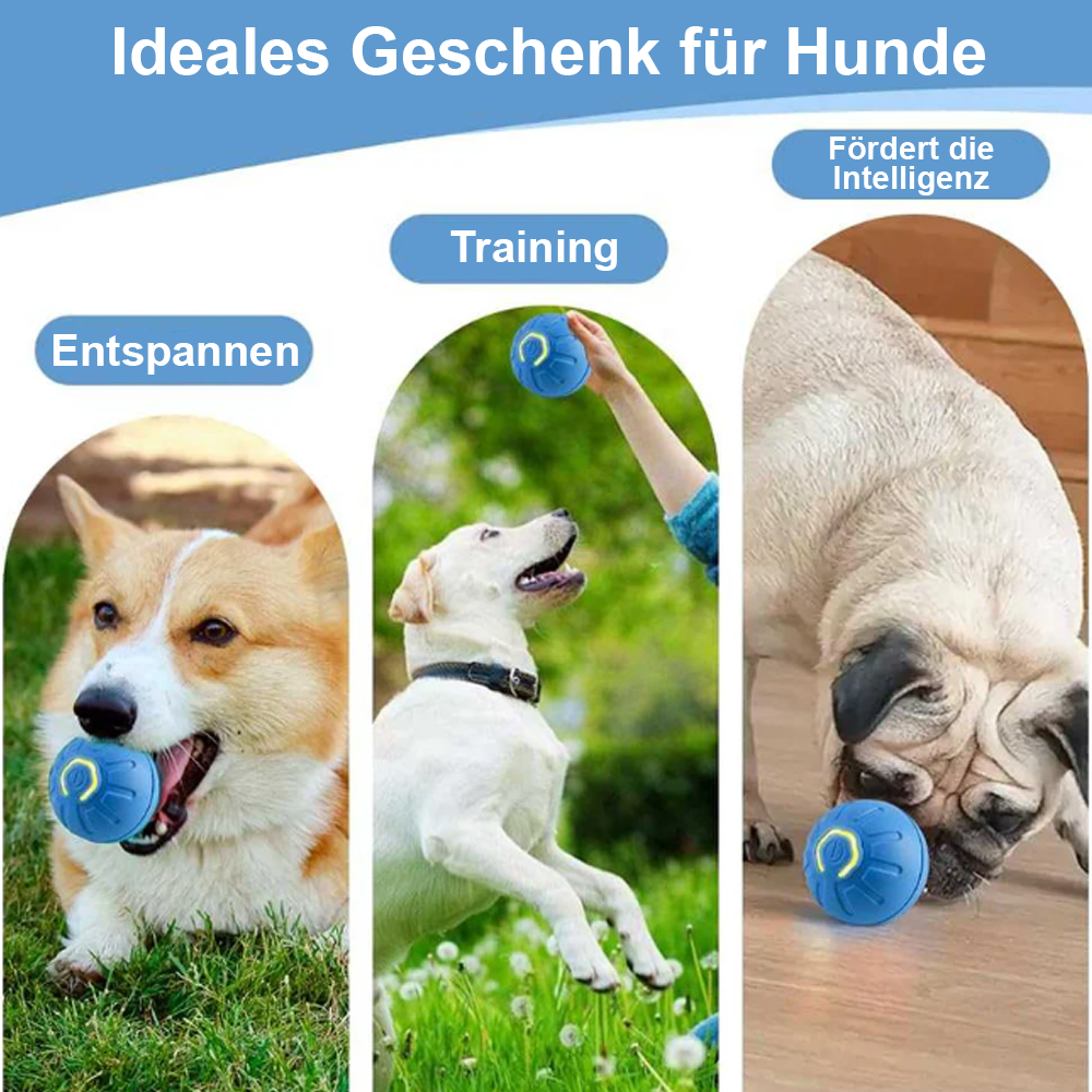 Intelligentes springendes Haustierspielzeug – Mentale Stimulation -Remifa®