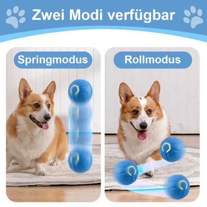 Intelligentes springendes Haustierspielzeug – Mentale Stimulation -Remifa®